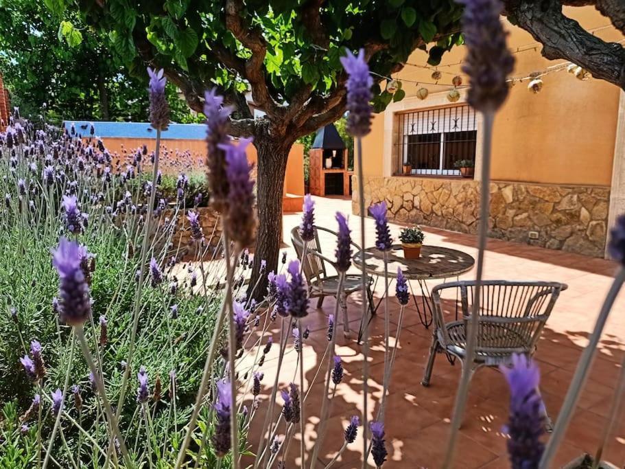 Vila Mas Del Vent- Barbacoa, Jardin, Piscina Privada Y Vistas A Mar Cunit Exteriér fotografie